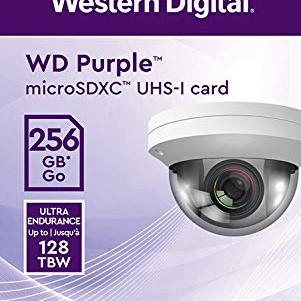 Western Digital WD Purple 256GB Surveillance and Security Camera Memory Card for CCTV & WiFi Cameras (WDD256G1P0C)