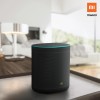 Mi Smart Speaker With Google Assistant (Black)