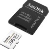 SanDisk 256GB High Endurance Video microSDXC Card with Adapter for Dash Cam SDSQQNR-256G-GN6IA