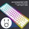 Ant Esports MK1500 Mini 60% Pro RGB Wireless Gaming Keyboard with Membrane Switches for PC / Mobile / Tablets / Laptop / TV's- White