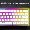 Ant Esports MK1500 Mini 60% Pro RGB Wireless Gaming Keyboard with Membrane Switches for PC / Mobile / Tablets / Laptop / TV's- White