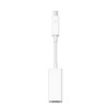 Apple Thunderbolt to FireWire Adapter