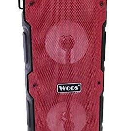 GOLDEN AGE of Woos WS-500 Bluetooth Wireless Super Speaker with Mic