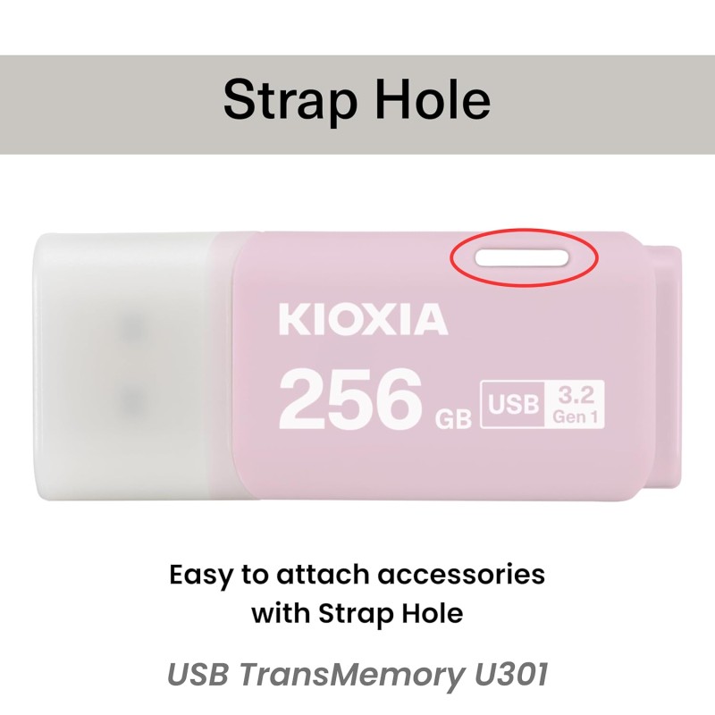 KIOXIA Former Toshiba Memory U301 256GB USB 3.2 Gen 1 Flash Drive - High-Speed, Compact (Pink)