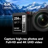Lexar Professional 1066x 256GB SDXC UHS-I Card Silver Series, Up to 160MB/s Read, for DSLR and Mirrorless Cameras (LSD1066256G-BNNNU)