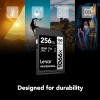 Lexar Professional 1066x 256GB SDXC UHS-I Card Silver Series, Up to 160MB/s Read, for DSLR and Mirrorless Cameras (LSD1066256G-BNNNU)
