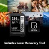 Lexar Professional 1066x 256GB SDXC UHS-I Card Silver Series, Up to 160MB/s Read, for DSLR and Mirrorless Cameras (LSD1066256G-BNNNU)