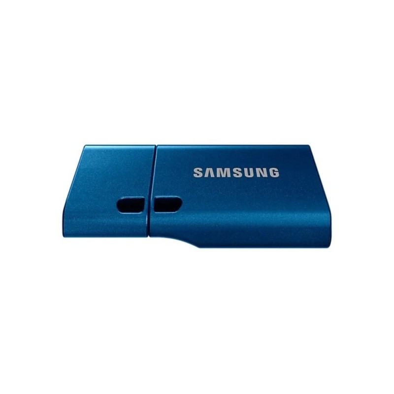 SAMSUNG Type-C™ USB Flash Drive, 256GB, Transfers 4GB Files in 11 Secs w/Up to 400MB/s 3.13 Read 2022,Blue