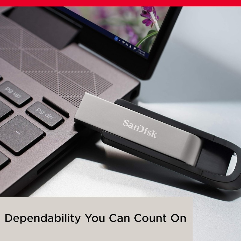 SANDISK Extreme 64GB, USB 3.2, Flash Drive, Upto 400MB/s Read & 240MB/s Write (SDCZ810-064G-G46)