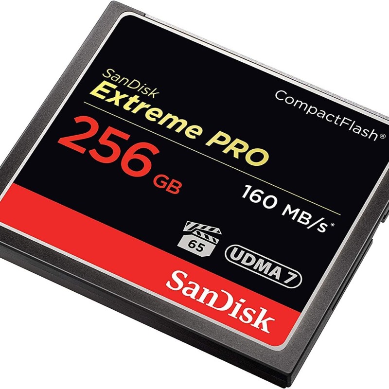 SanDisk Extreme PRO 256GB Compact Flash Memory Card UDMA 7 Speed Up To 160MB/s