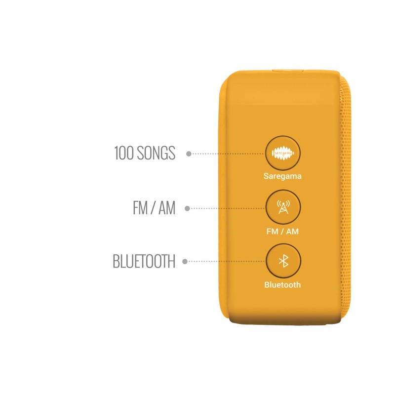 Saregama Carvaan Mini 2.0 Gurbani- Music Player with Bluetooth/FM/AM/AUX (Saffron Orange)