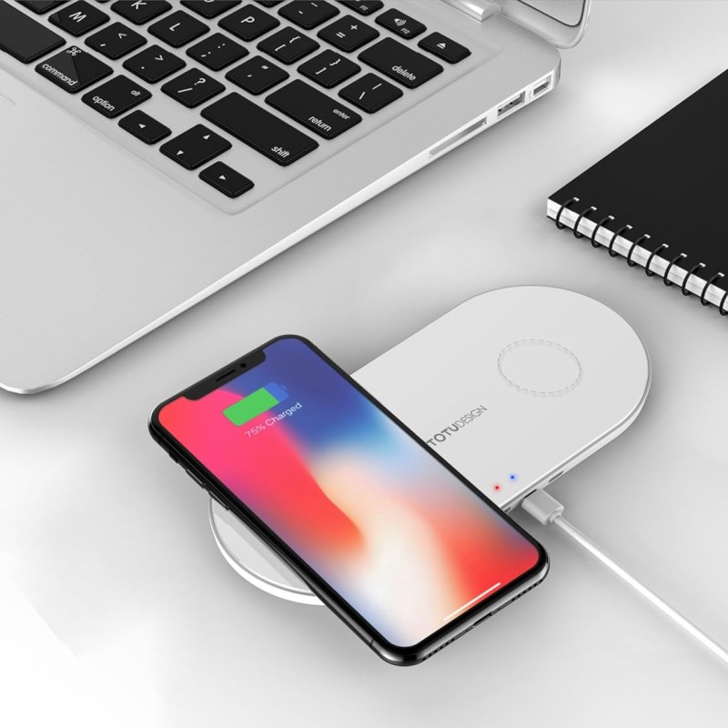 Squirrel TOTUDESIGN Dual Wireless Charging Pad for Qi Device