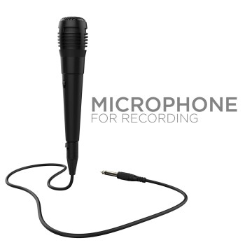 boAt PartyPal 20 15 Watt Wireless Bluetooth Party Speaker (Black)