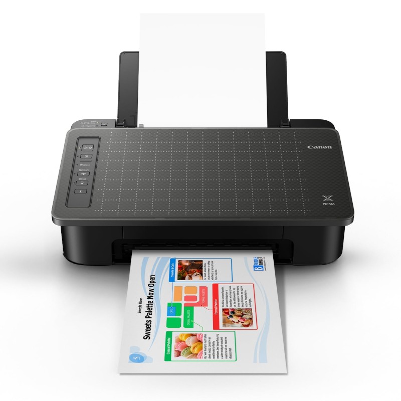 Canon Pixma TS307 Single Function Wireless Inkjet Colour Printer (Black)