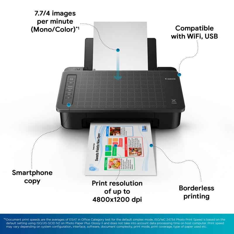 Canon Pixma TS307 Single Function Wireless Inkjet Colour Printer (Black)