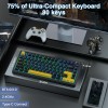 AULA Wireless Mechanical Keyboard F75 75% Tri-mode RGB Thunder Black