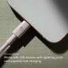 Beats USB-C to Lightning Cable MDGL4ZM/A Fast Charging 1.5m Surge Stone