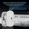 Dyazo Wireless Rechargeable Mouse DZ6077 Dual Connectivity Bluetooth 5.2 White