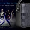 F&D Wireless Portable Bluetooth Speaker W19 12W Black