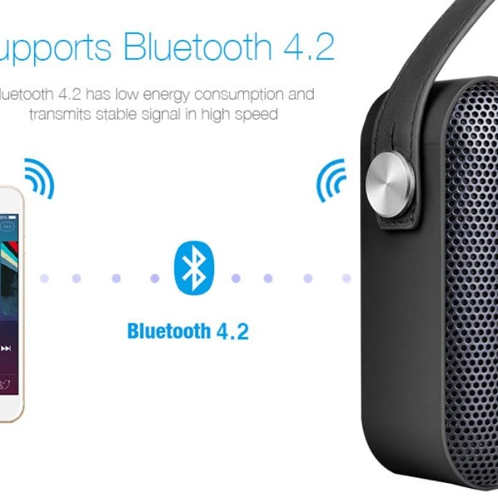 F&D Wireless Portable Bluetooth Speaker W19 12W Black