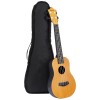 Generic Ukulele Kit AMZ_BA_UKULELE_NEW Concert Size Nylon Strings Natural Brown