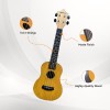 Generic Ukulele Kit AMZ_BA_UKULELE_NEW Concert Size Nylon Strings Natural Brown
