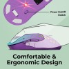 ZEBRONICS Marine Wireless Mouse 6 Buttons 4 DPI Purple