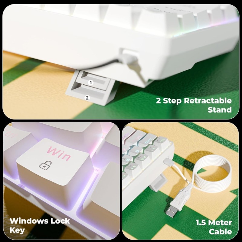 ZEBRONICS Mechanical Keyboard Zeb-Max Ninja 61 Silent Red Switch White