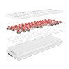 ZEBRONICS Mechanical Keyboard Zeb-Max Ninja 61 Silent Red Switch White