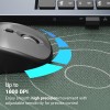 ZEBRONICS Wireless Mouse ZEB-PULSE100 Dual Mode 1600 DPI Black + Grey